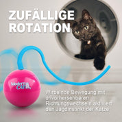 Whirling Tail Rotierender Katzen-Spielzeugball