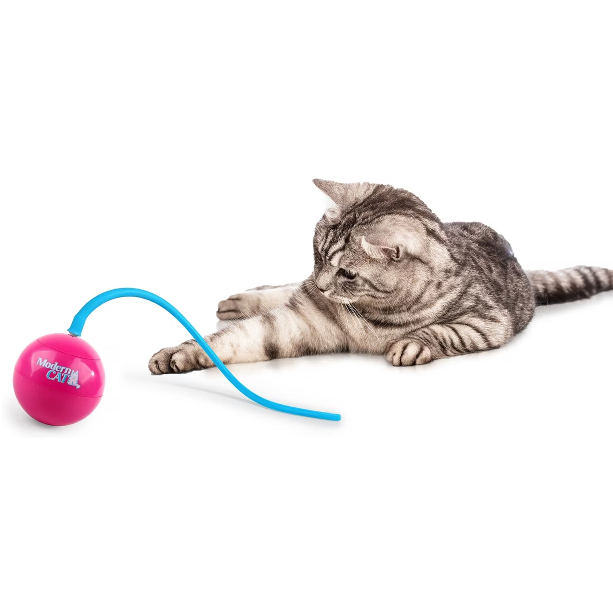 2082-Katzenspielzeug-ModernCATWhirlingTailRotierenderKatzenSpielzeugball-1.jpg
