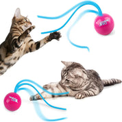 Whirling Tail Rotierender Katzen-Spielzeugball