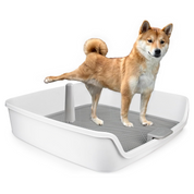 Go Fresh - Hundetoilette Dog Pee Pad Holder