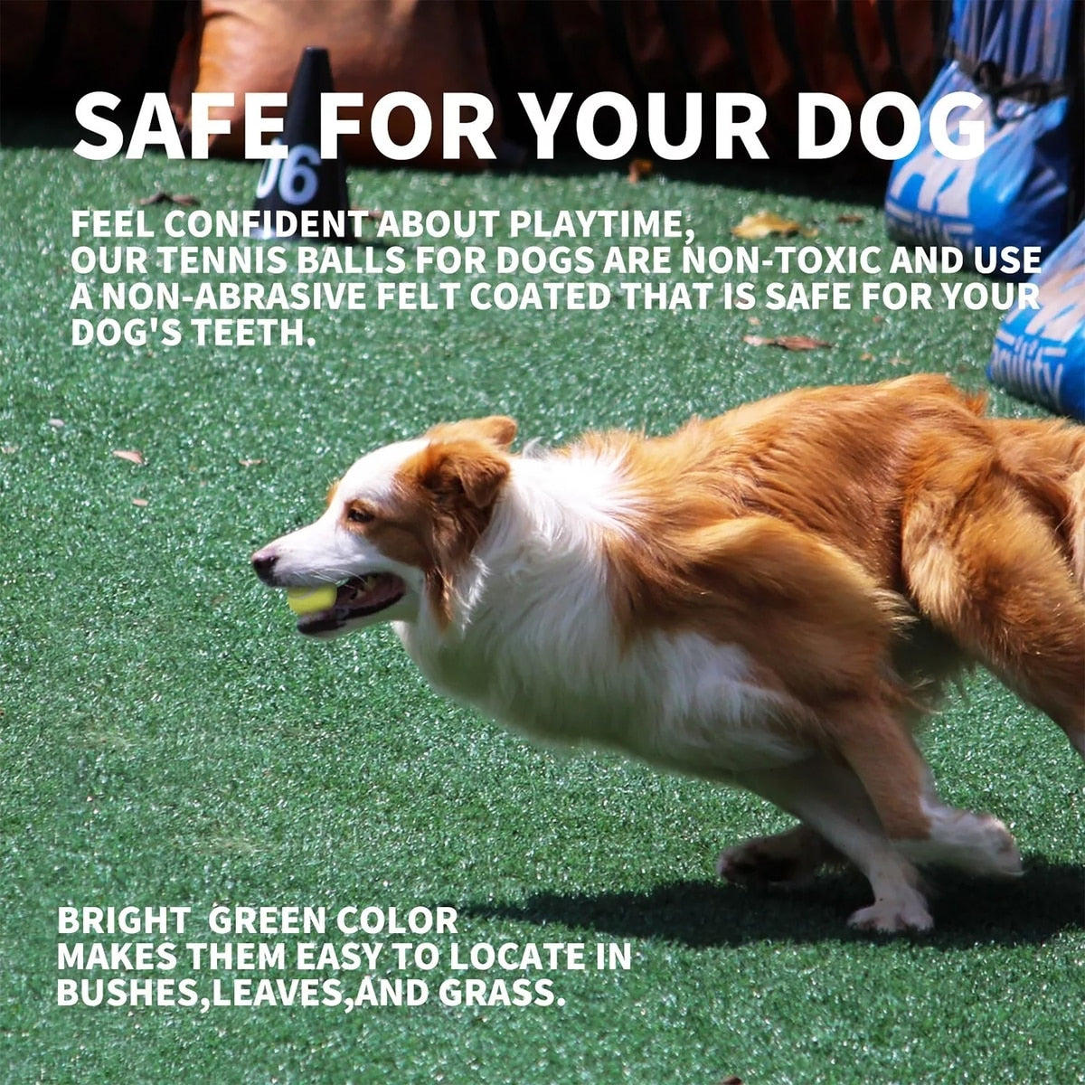 Maxi Ball Launcher Super Bounce Tennisball 6er Pack