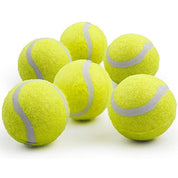 Maxi Ball Launcher Super Bounce Tennisball 6er Pack