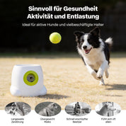 Interaktive Ballwerfer für großen Hund-Maxi ball launcher