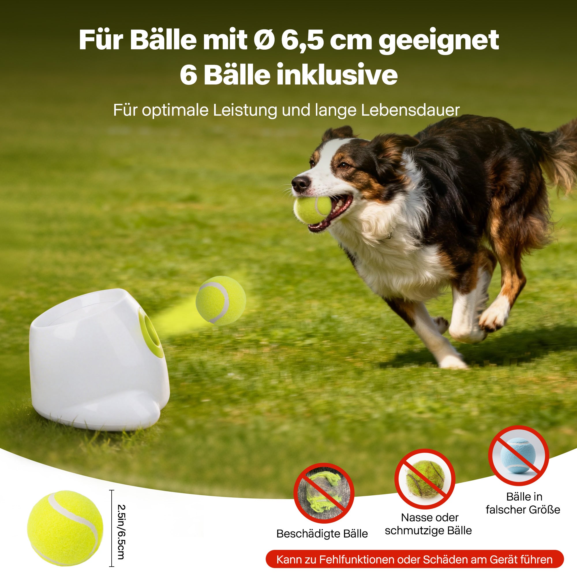 Interaktive Ballwerfer für großen Hund-Maxi ball launcher