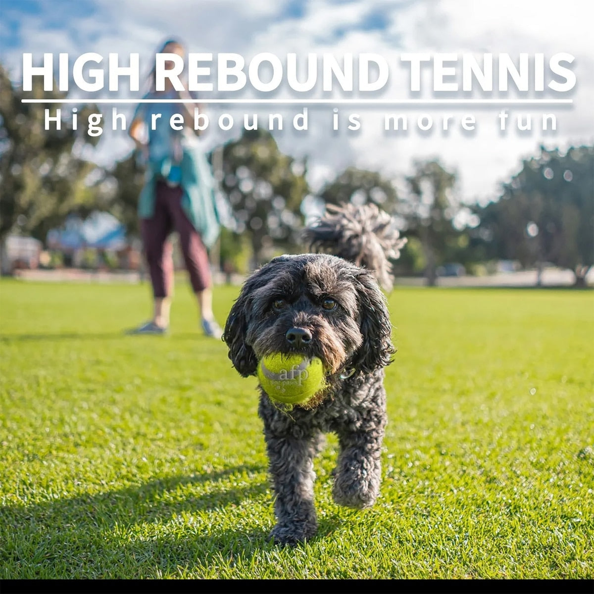 Mini Ball Launcher Super Bounce Tennisball 6er Pack