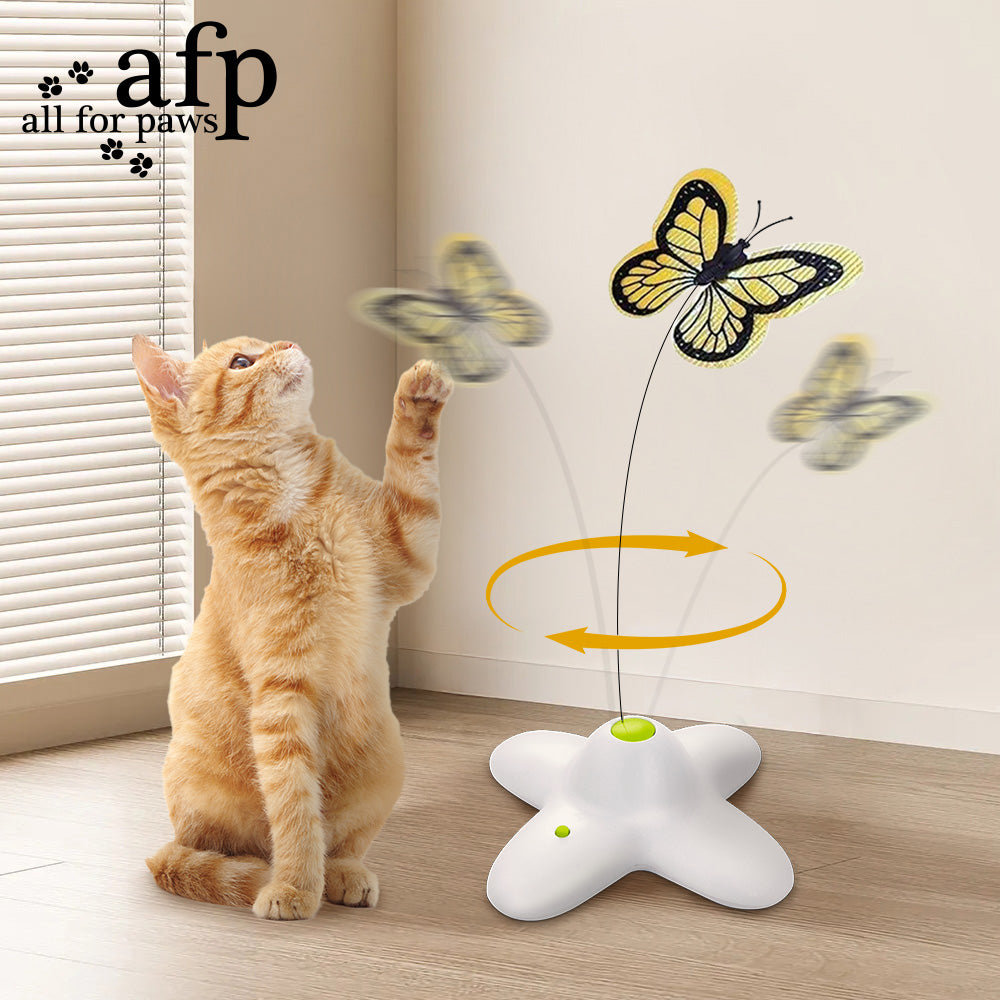 Interaktives Katzenspielzeug- Flutter Bug