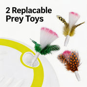 Interaktives Katzenspielzeug - Hau den Maulwurf