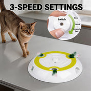 Interaktives Katzenspielzeug - Hau den Maulwurf