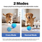 Interaktives Spielzeug - Motion Activated Hundeball