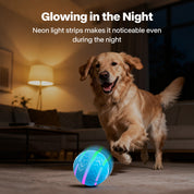 Interaktives Spielzeug - Motion Activated Hundeball