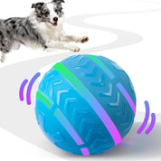 Interaktives Spielzeug - Motion Activated Hundeball