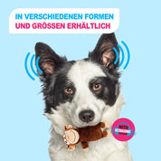 Ultraschall-Hundespielzeug –Ideal für Zuhause und Büro