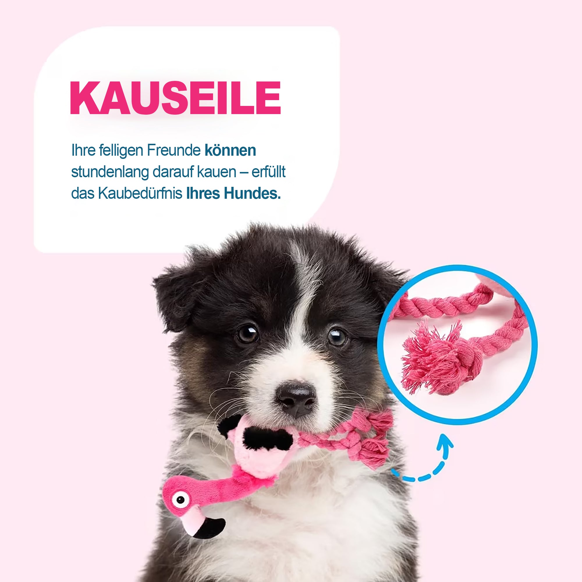 Ultraschall-Hundespielzeug –Ideal für Zuhause und Büro