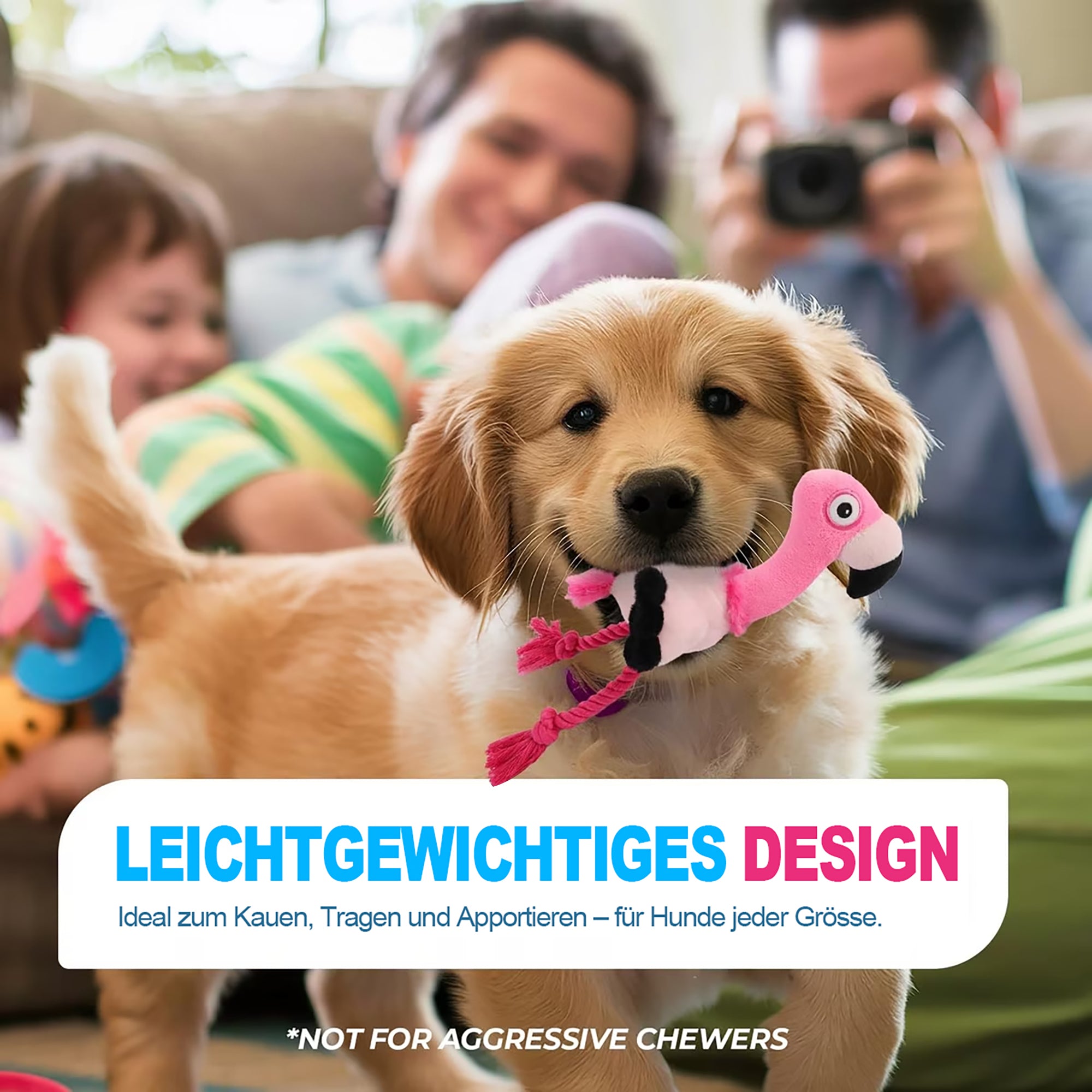 Ultraschall-Hundespielzeug –Ideal für Zuhause und Büro