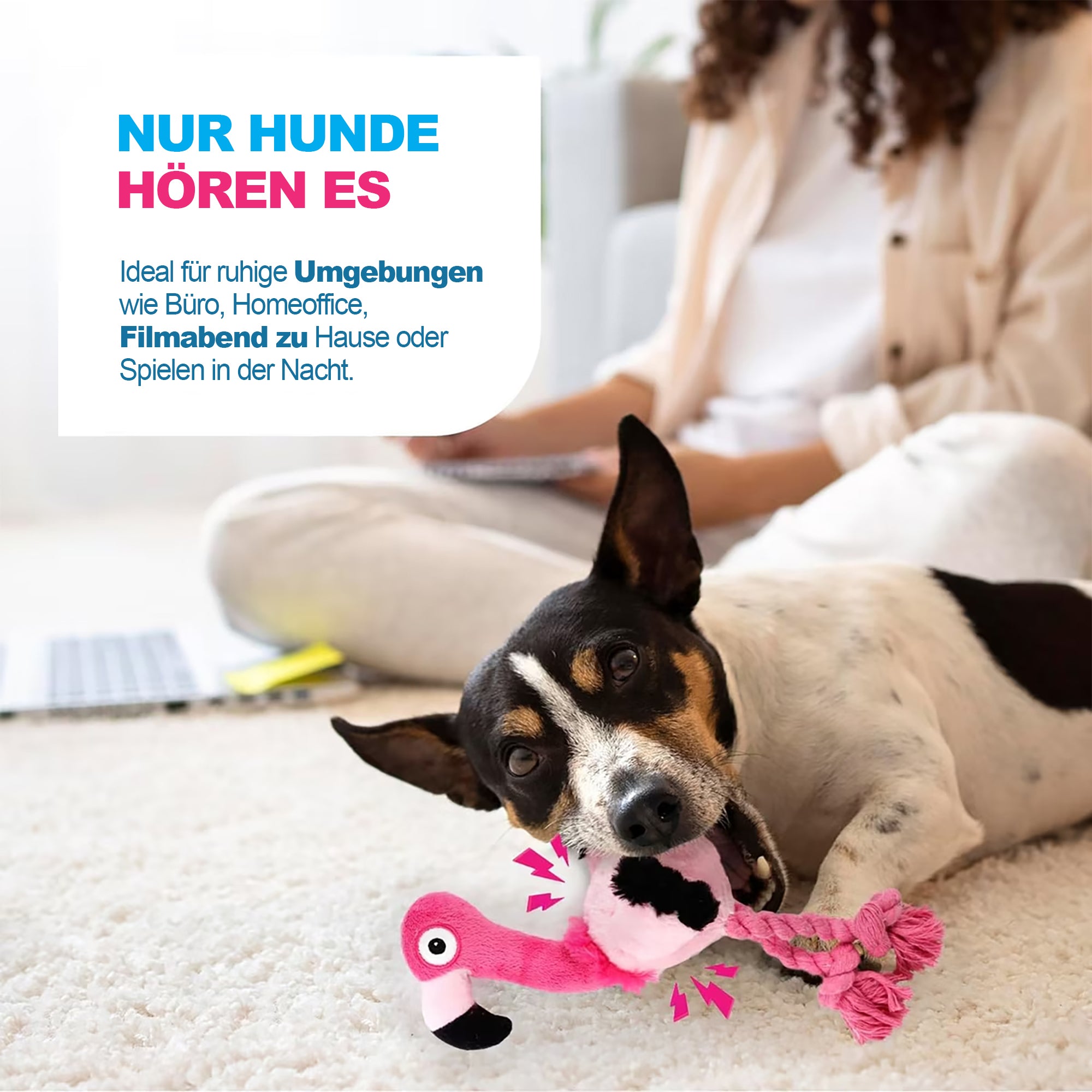 Ultraschall-Hundespielzeug –Ideal für Zuhause und Büro
