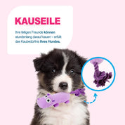 Ultraschall-Hundespielzeug –Ideal für Zuhause und Büro