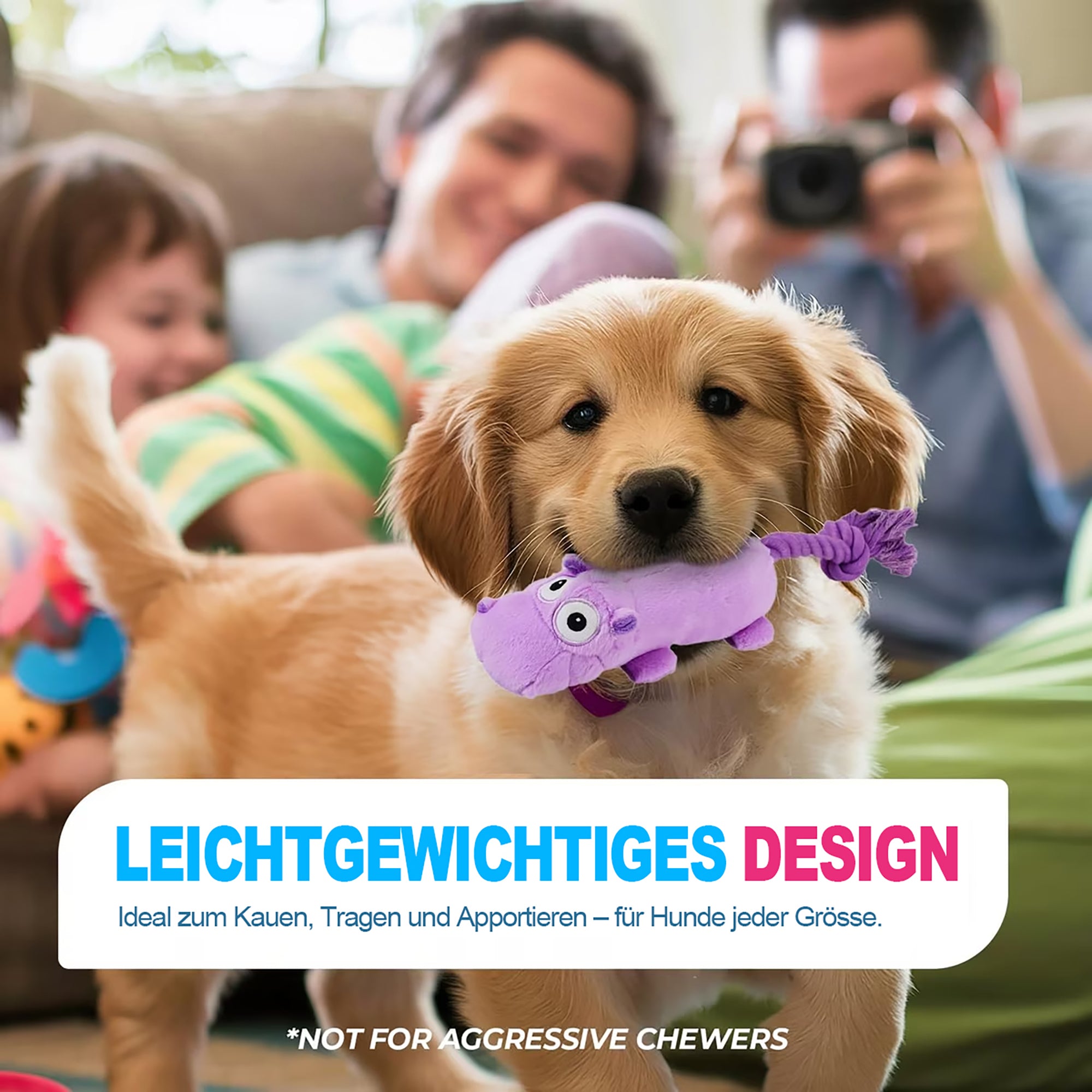 Ultraschall-Hundespielzeug –Ideal für Zuhause und Büro