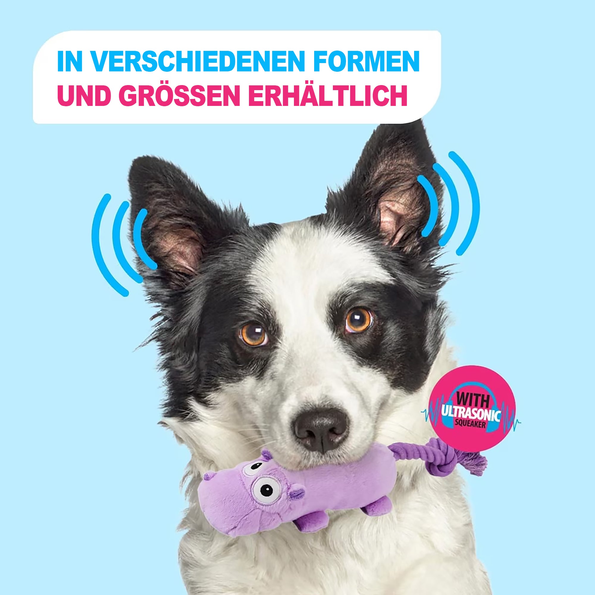 Ultraschall-Hundespielzeug –Ideal für Zuhause und Büro