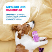 Ultraschall-Hundespielzeug –Ideal für Zuhause und Büro