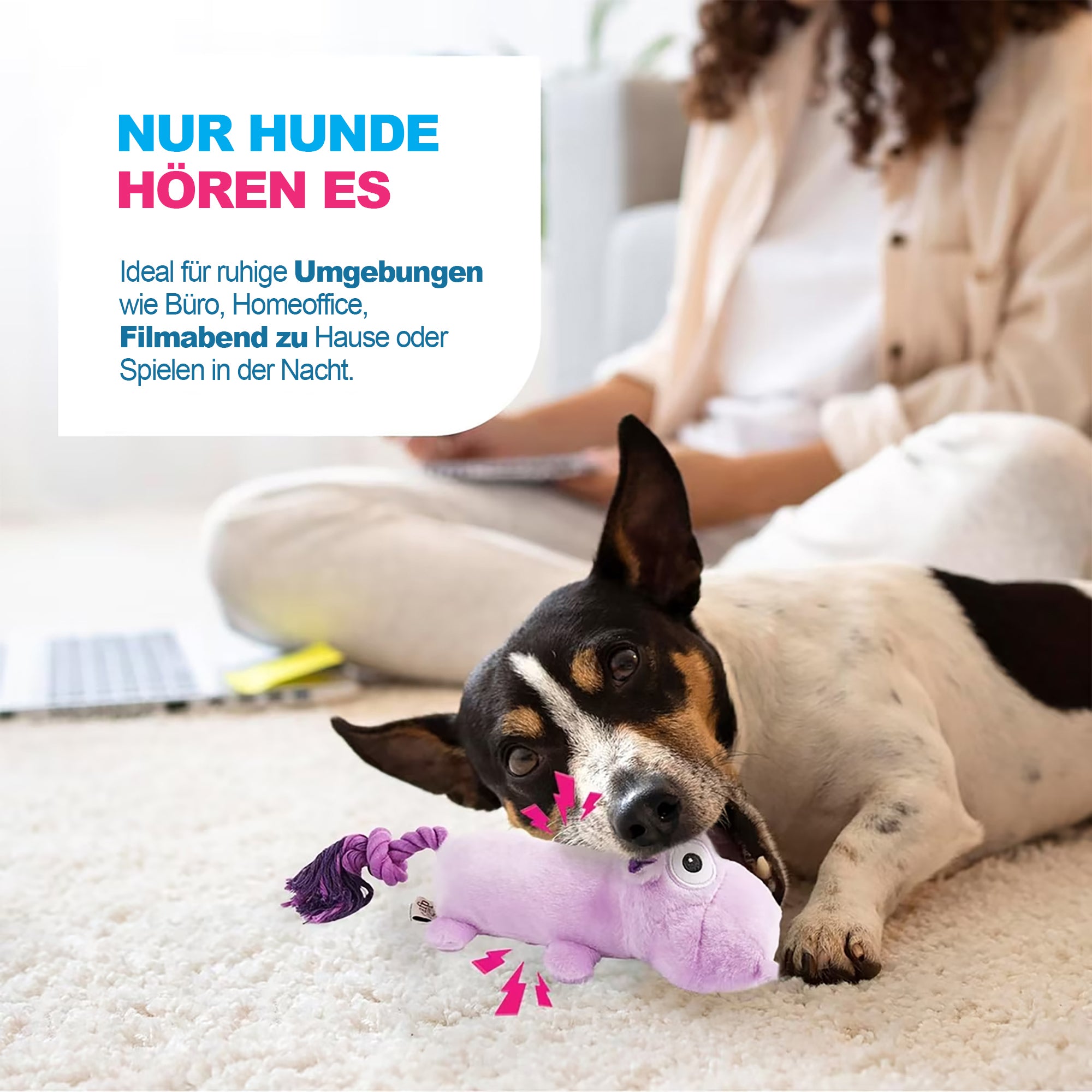 Ultraschall-Hundespielzeug –Ideal für Zuhause und Büro