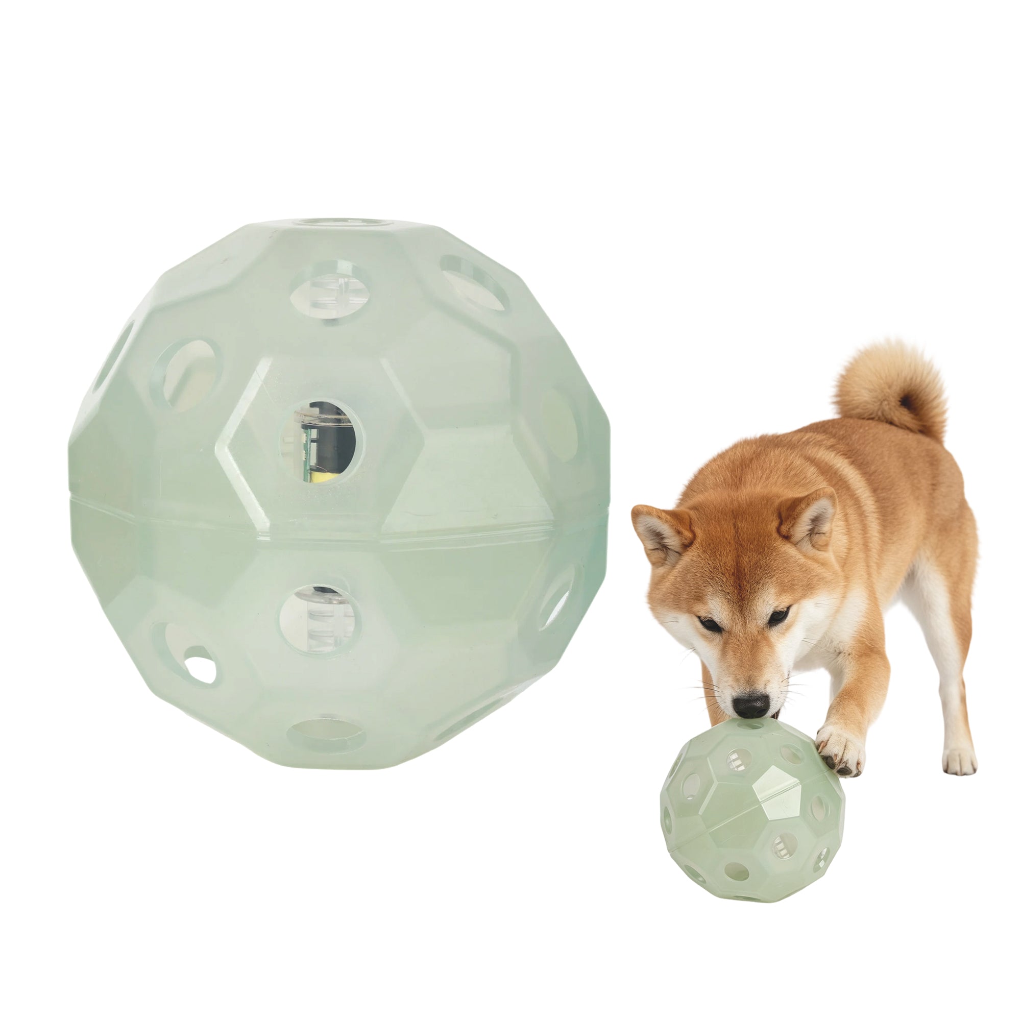 Leucht-Fußball für Hunde – Selbstaufladend