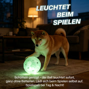 Leucht-Fußball für Hunde – Selbstaufladend