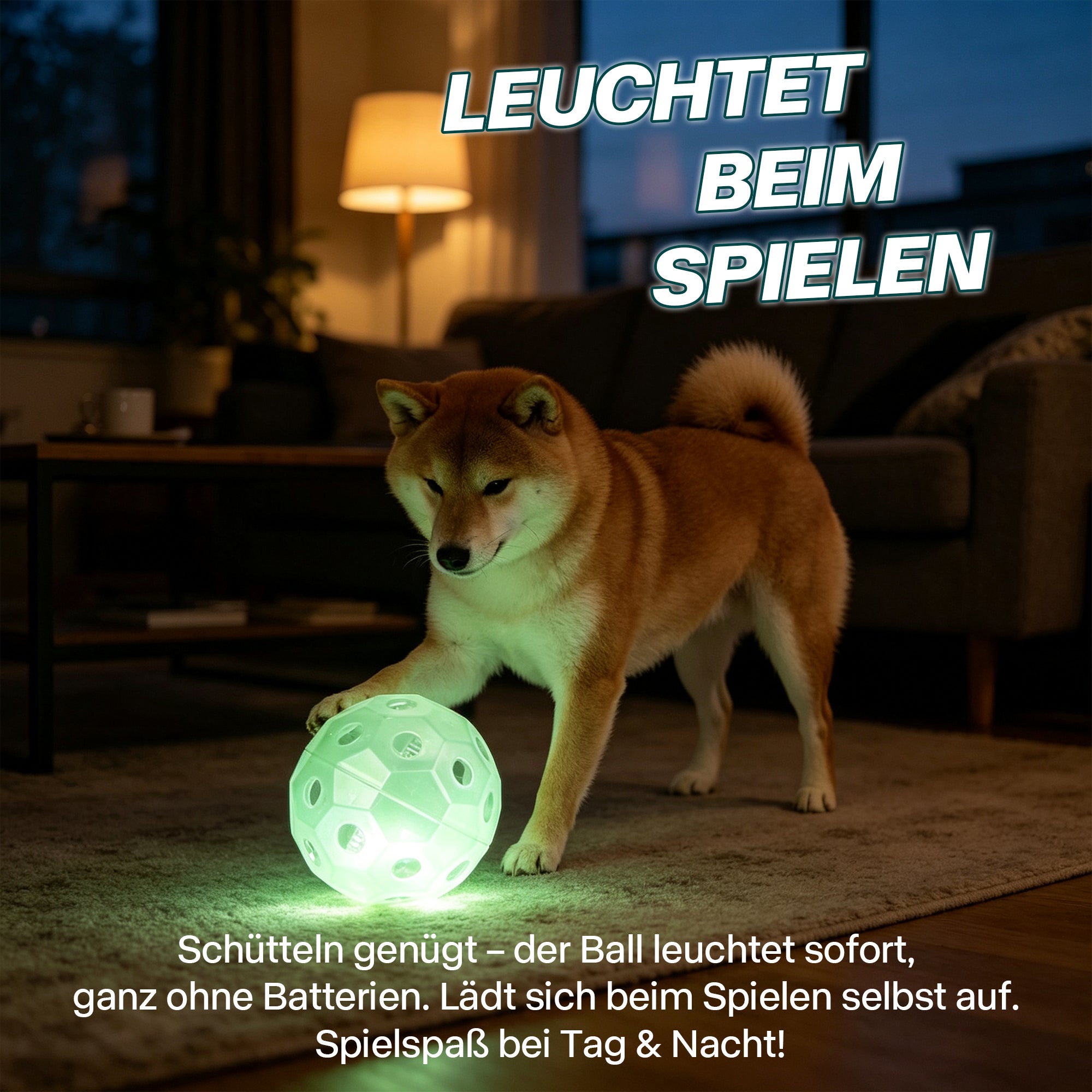 Leucht-Fußball für Hunde – Selbstaufladend