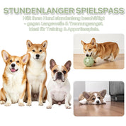 Leucht-Fußball für Hunde – Selbstaufladend