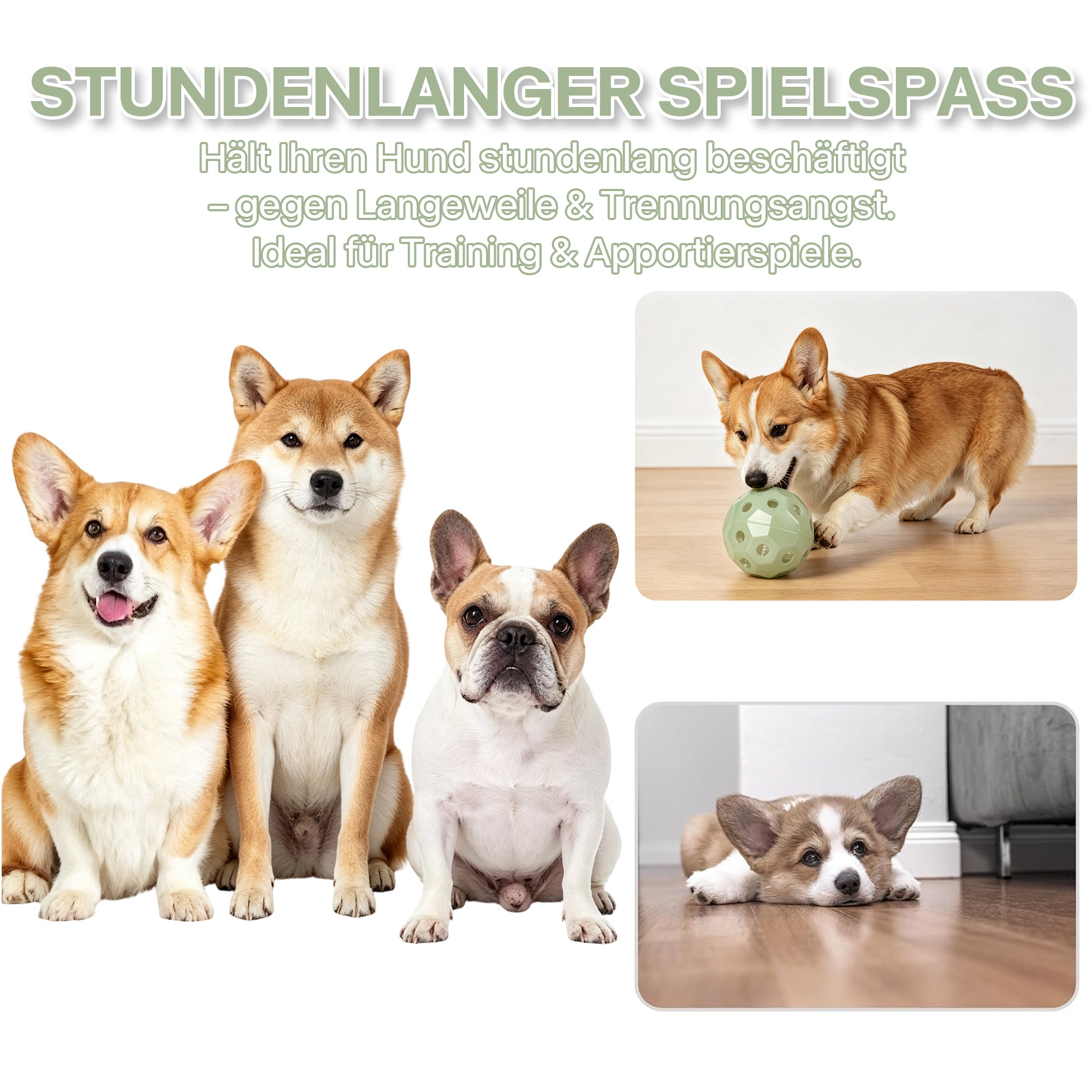 Leucht-Fußball für Hunde – Selbstaufladend