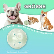 Leucht-Fußball für Hunde – Selbstaufladend