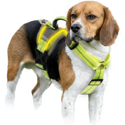 LED-Leuchthundegeschirr – Für Hunde bei nächtlichen Spaziergängen & Outdoor-Aktivitäten