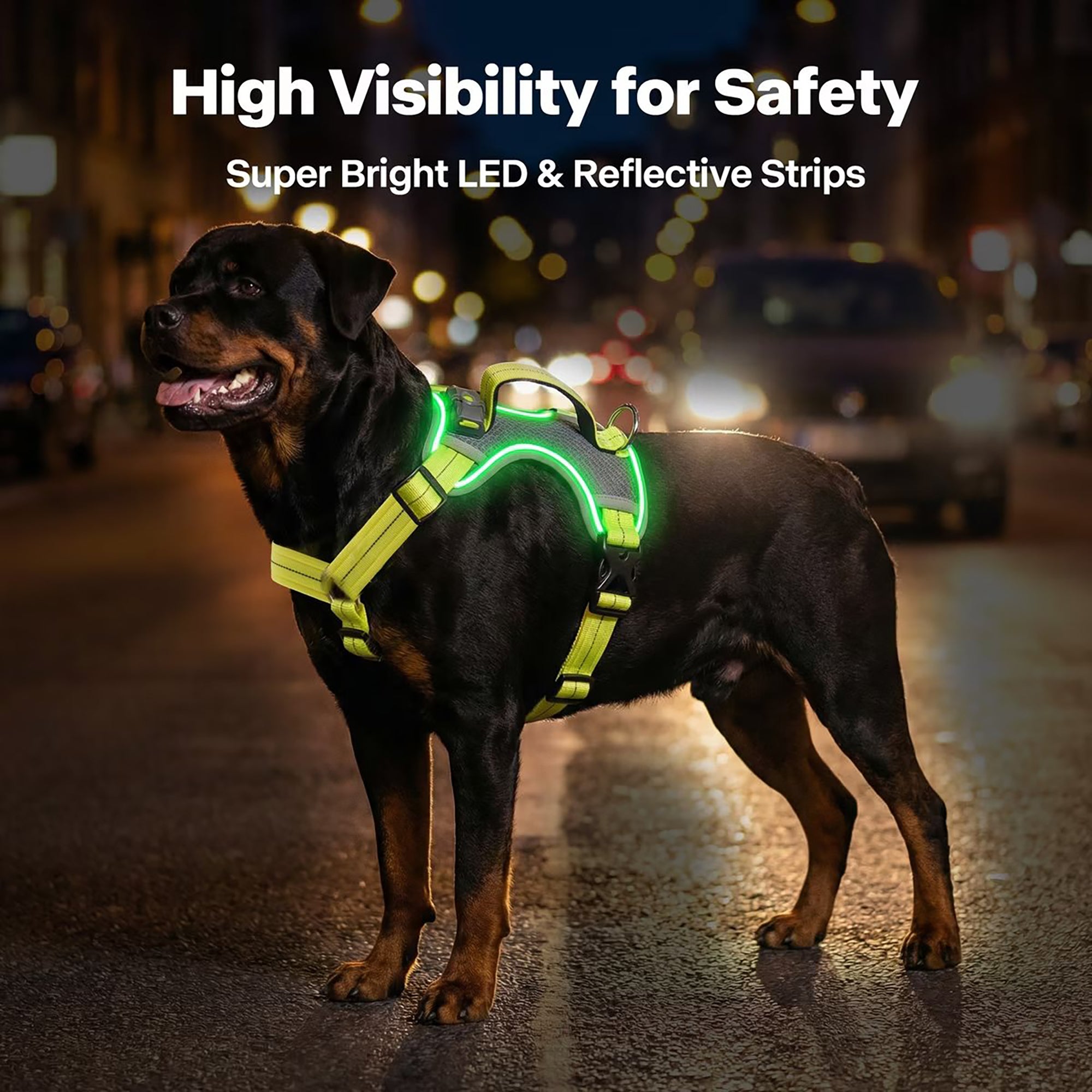 LED-Leuchthundegeschirr – Für Hunde bei nächtlichen Spaziergängen & Outdoor-Aktivitäten