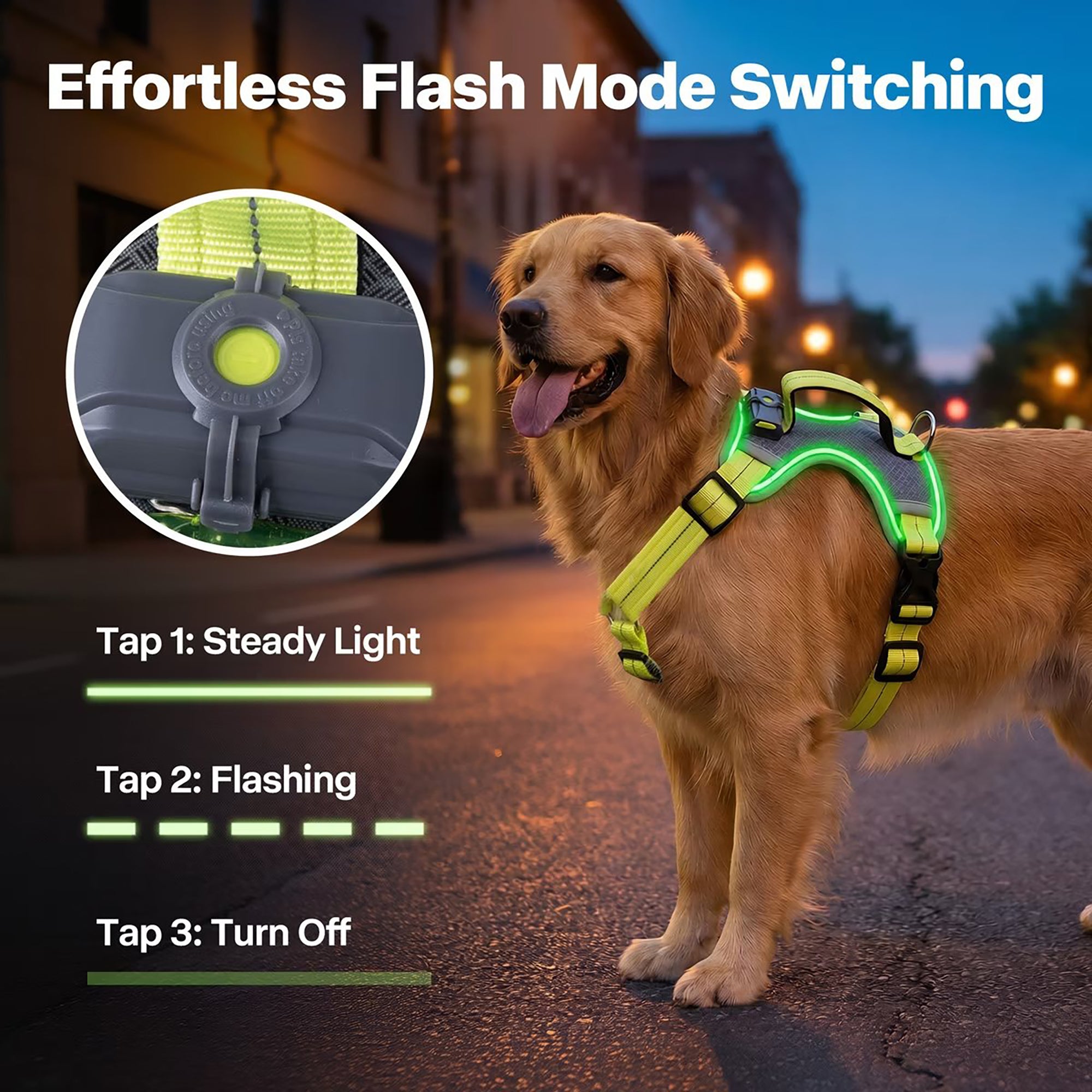 LED-Leuchthundegeschirr – Für Hunde bei nächtlichen Spaziergängen & Outdoor-Aktivitäten