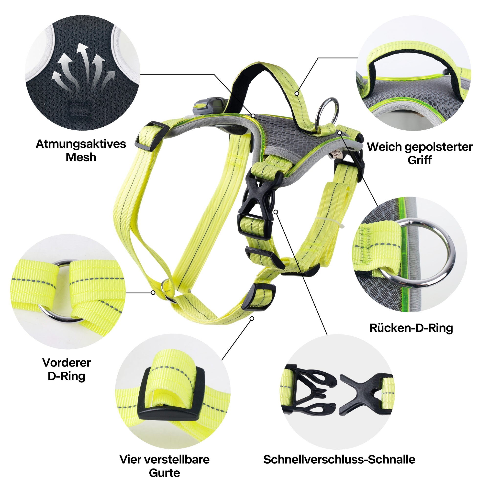 LED-Leuchthundegeschirr – Für Hunde bei nächtlichen Spaziergängen & Outdoor-Aktivitäten