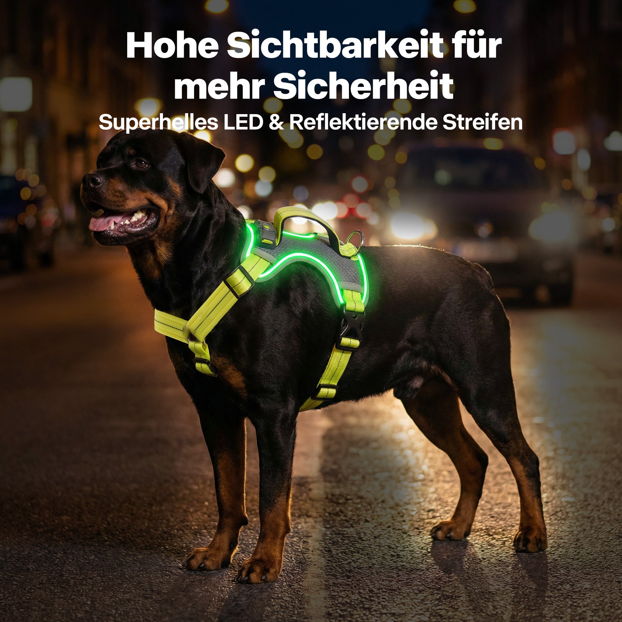 LED-Leuchthundegeschirr – Für Hunde bei nächtlichen Spaziergängen & Outdoor-Aktivitäten