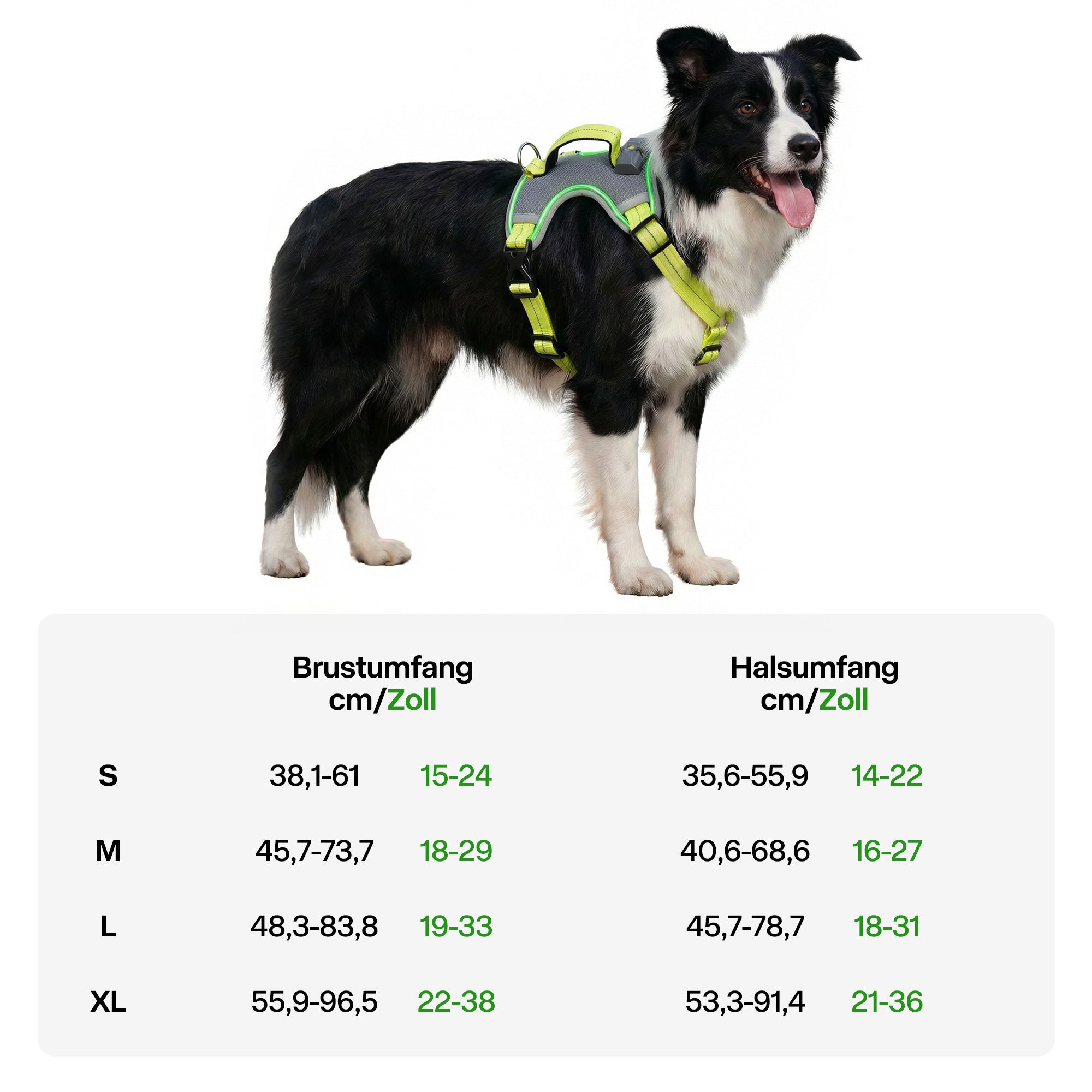 LED-Leuchthundegeschirr – Für Hunde bei nächtlichen Spaziergängen & Outdoor-Aktivitäten