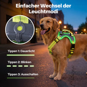 LED-Leuchthundegeschirr – Für Hunde bei nächtlichen Spaziergängen & Outdoor-Aktivitäten