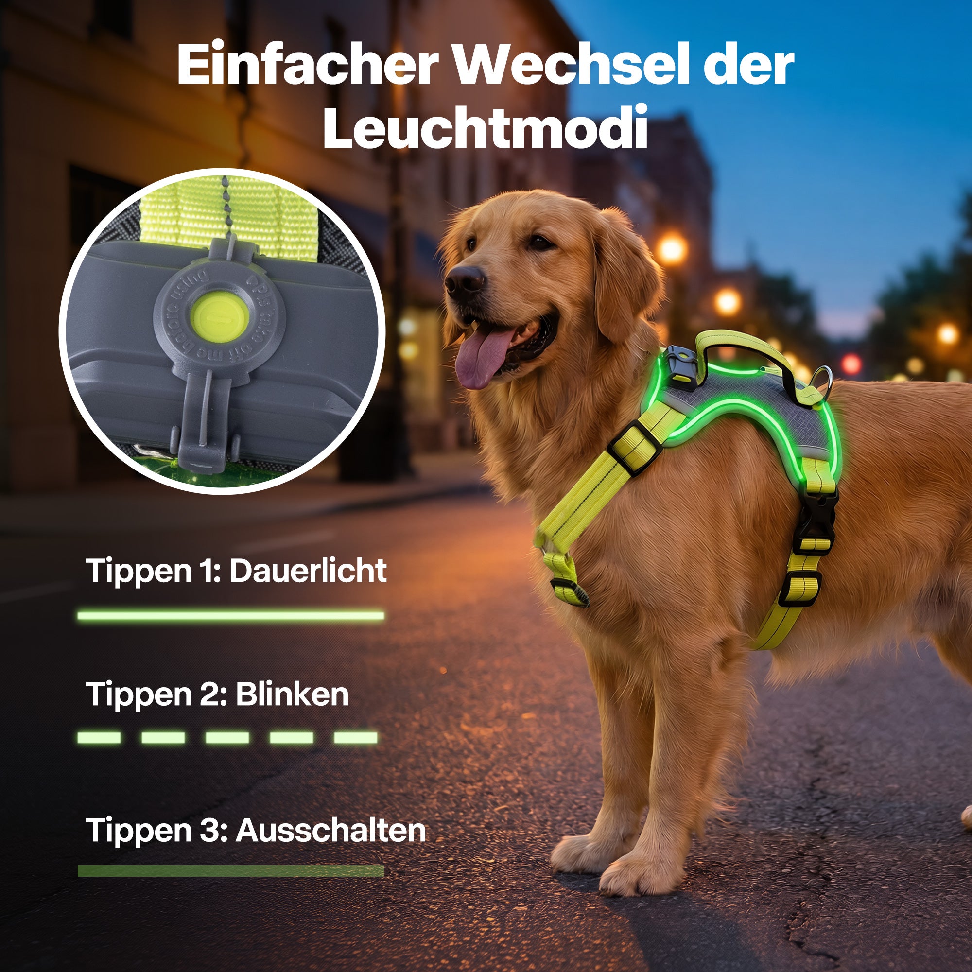 LED-Leuchthundegeschirr – Für Hunde bei nächtlichen Spaziergängen & Outdoor-Aktivitäten