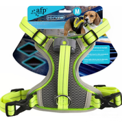 LED-Leuchthundegeschirr – Für Hunde bei nächtlichen Spaziergängen & Outdoor-Aktivitäten
