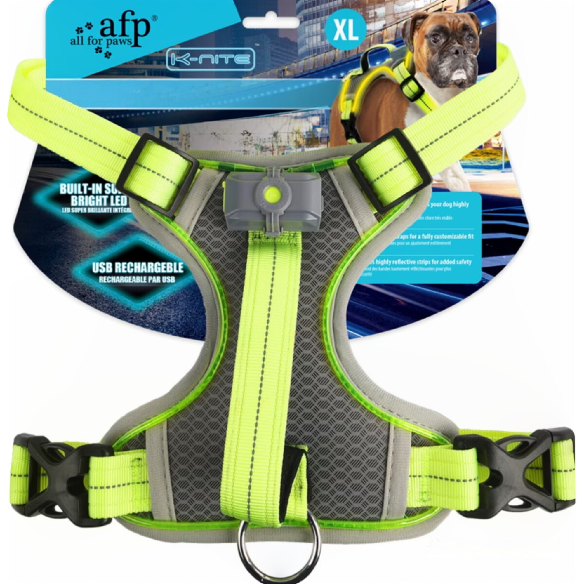 LED-Leuchthundegeschirr – Für Hunde bei nächtlichen Spaziergängen & Outdoor-Aktivitäten