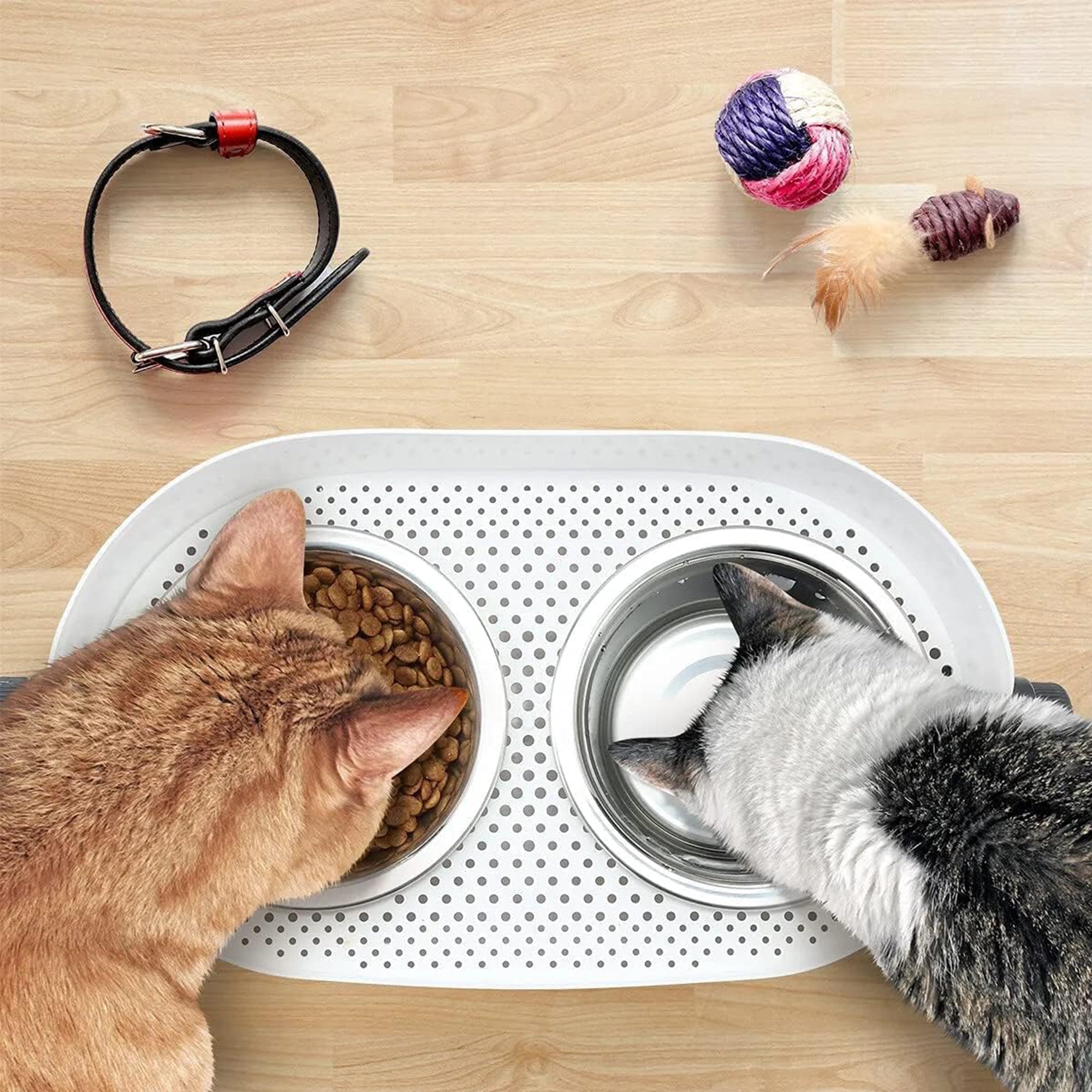3-in-1 Katzen-Doppelfutternapf S/M, höhenverstellbar