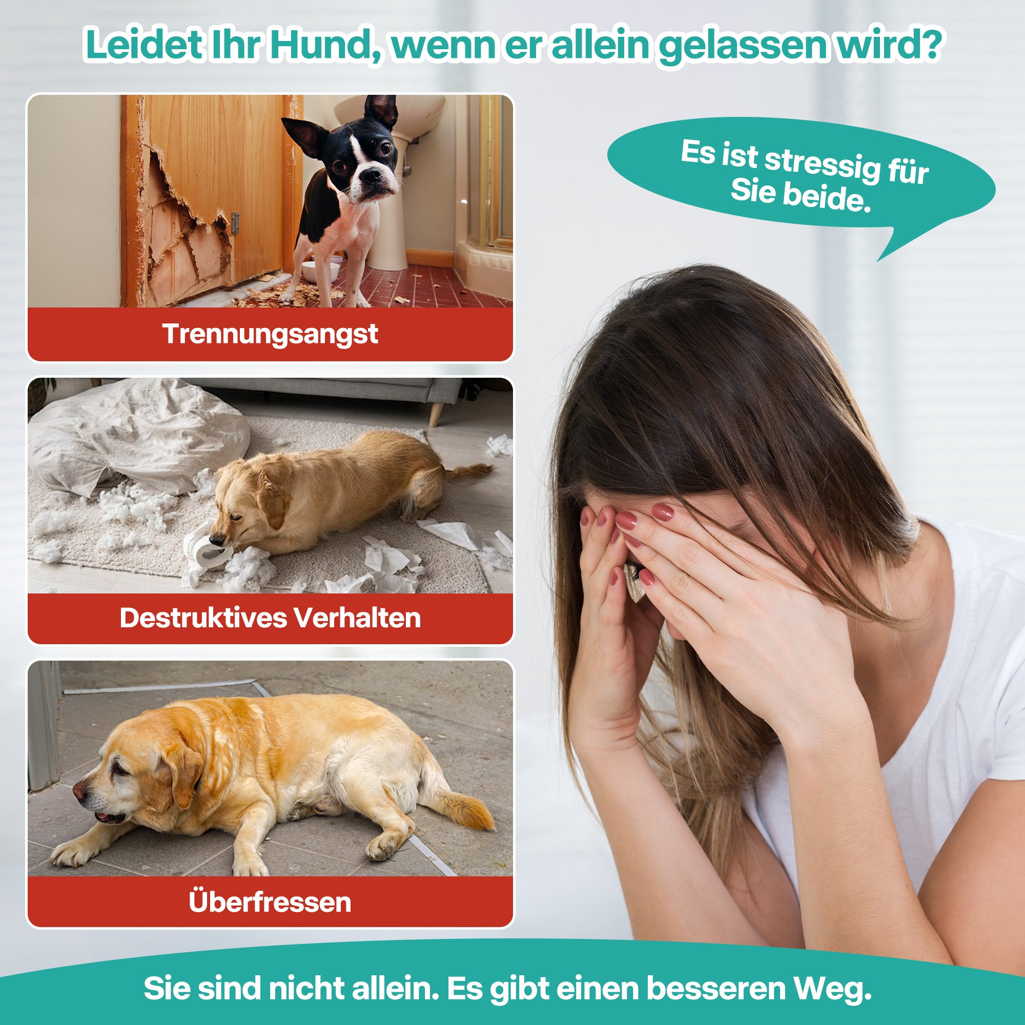 Calming Pals Hunde Leckmatte – Beruhigung für Transportbox & Zuhause