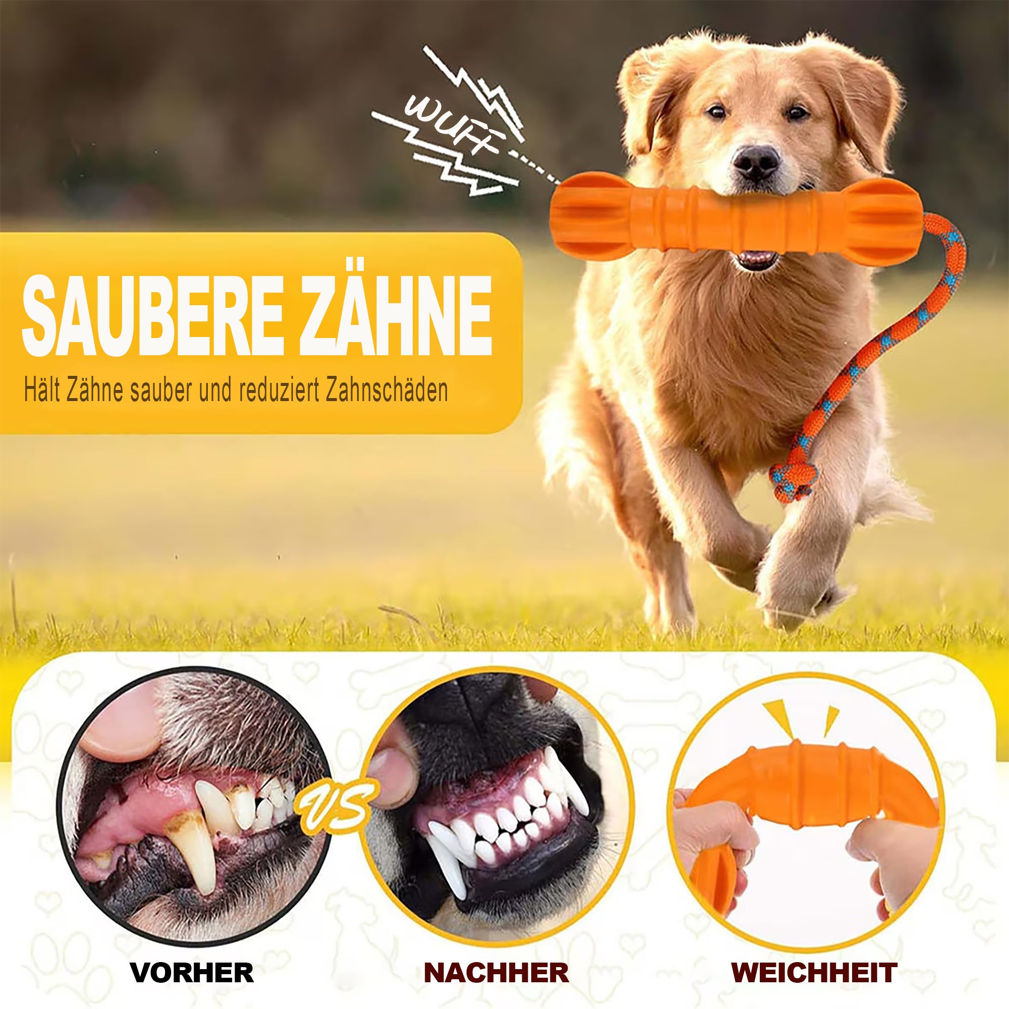 Floating Stick – Hundespielzeug für Fetch & Toss