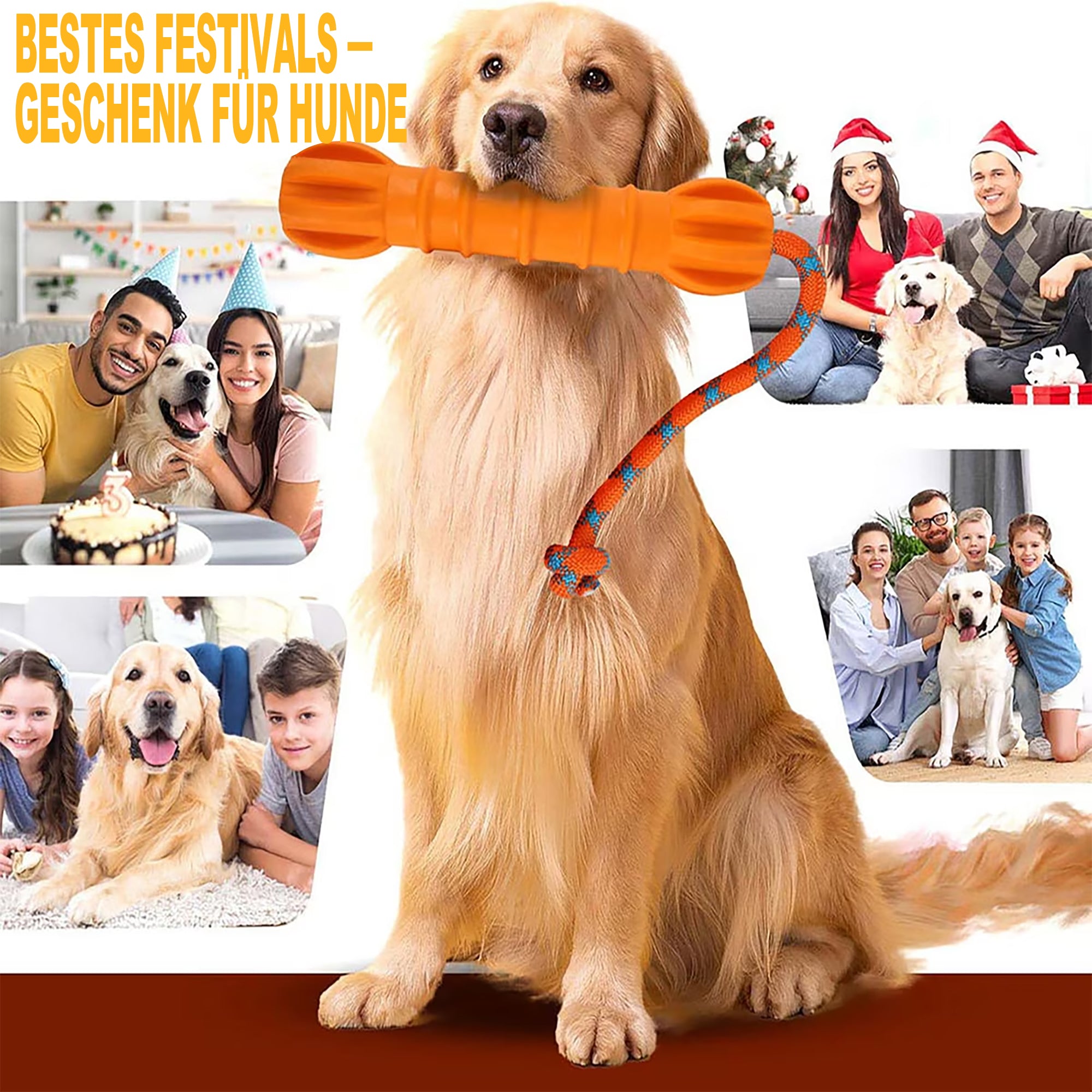 Floating Stick – Hundespielzeug für Fetch & Toss