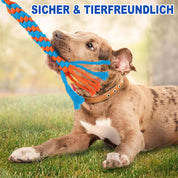 Hunde Flirt Pole mit Teleskopstab - Trainingsspielzeug mit Football & Seilschwanz