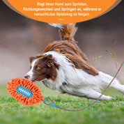 Hunde Flirt Pole mit Teleskopstab - Trainingsspielzeug mit Football & Seilschwanz