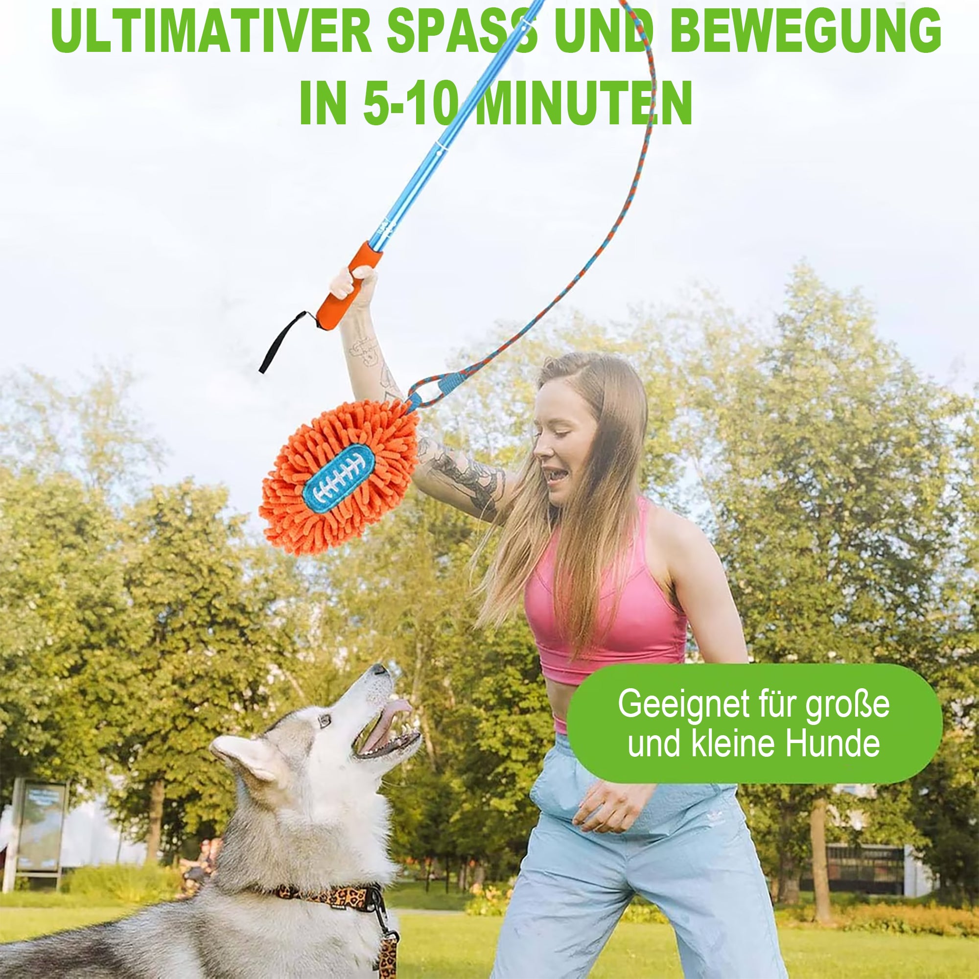 Hunde Flirt Pole mit Teleskopstab - Trainingsspielzeug mit Football & Seilschwanz