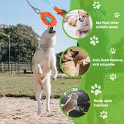 Hunde Flirt Pole mit Teleskopstab - Trainingsspielzeug mit Football & Seilschwanz