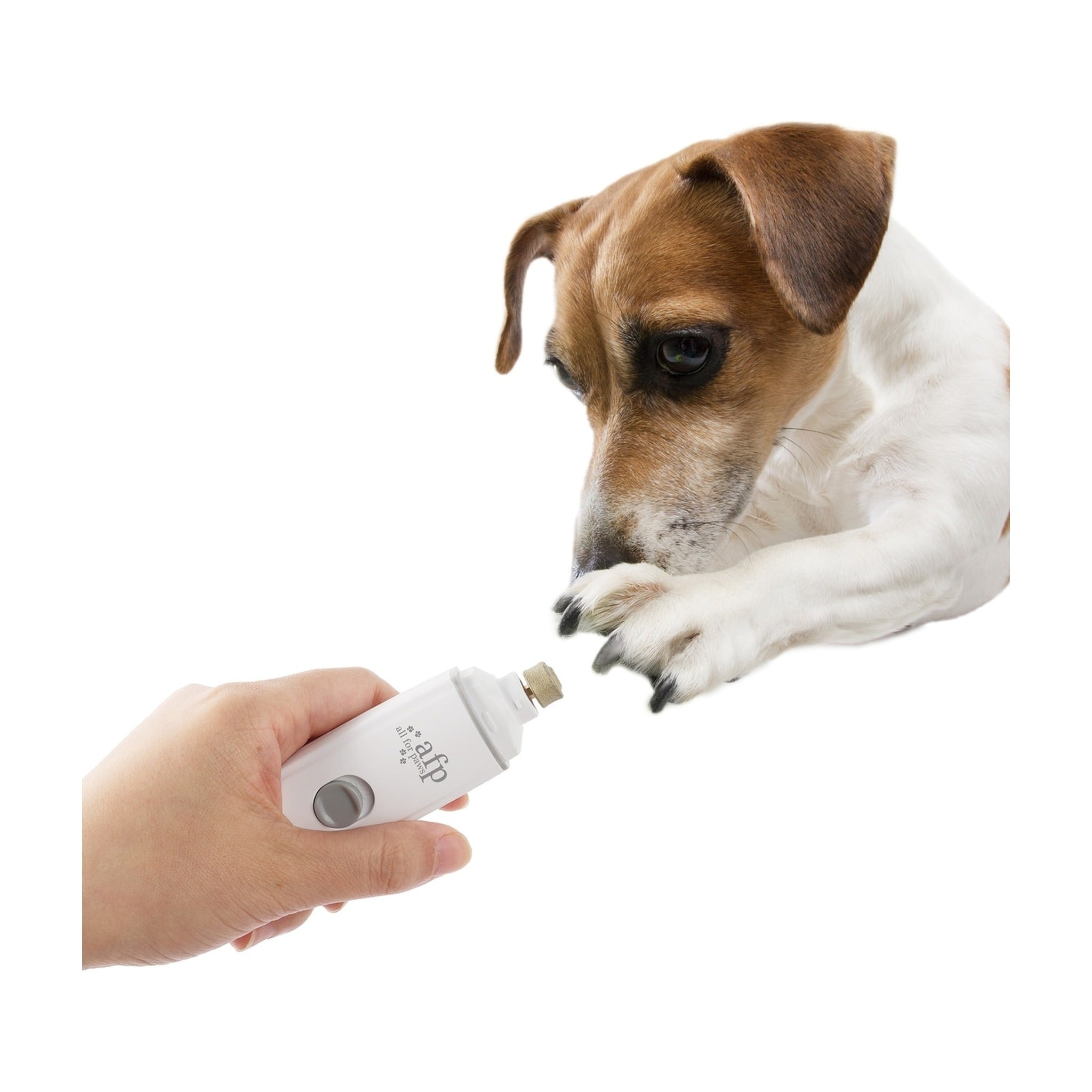 Pet Salon - Nagelschleifer