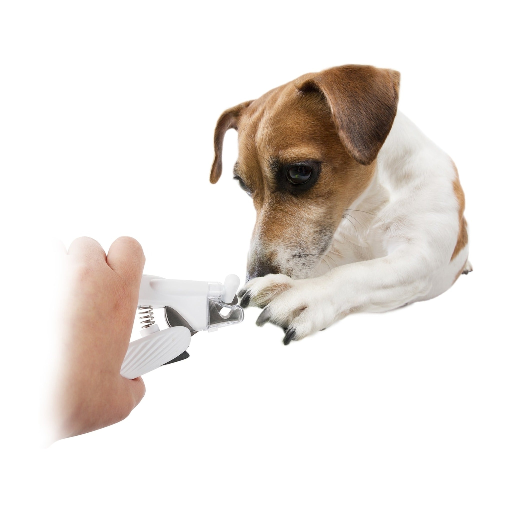 Pet Salon - LED-Nagelknipser